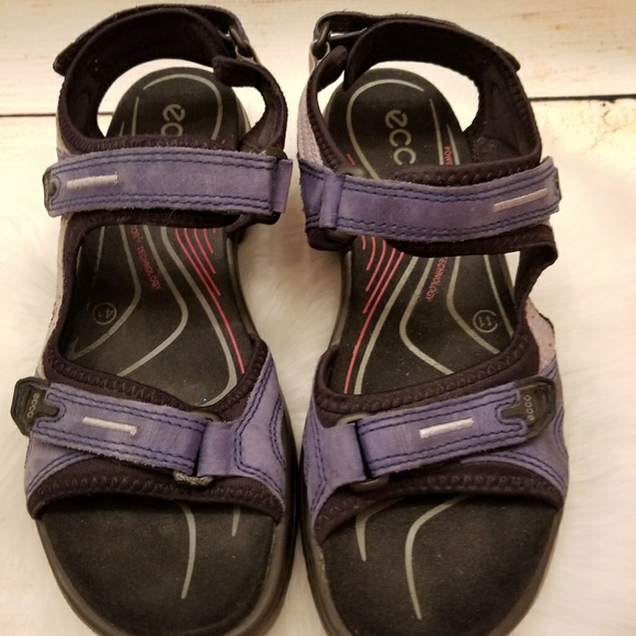 ecco birkenstock
